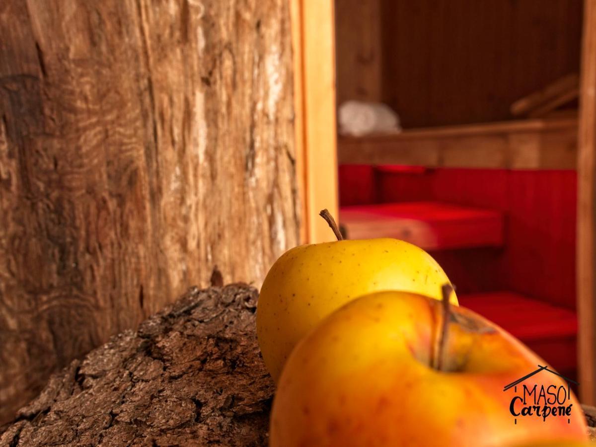 فيلا روفيريتوفي Agritur Maso Carpene المظهر الخارجي الصورة